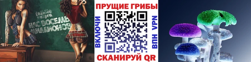 Псилоцибиновые грибы MAGIC MUSHROOMS  Давлеканово 